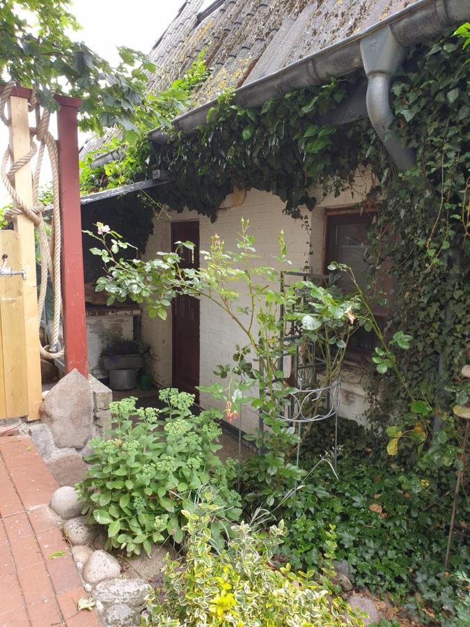 Ferienwohnung Am Osterdeich Dagebüll Εξωτερικό φωτογραφία